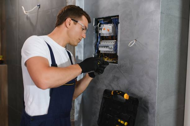 Best Ceiling Fan Installation Electrician  in Escanaba, MI